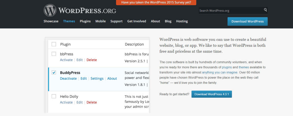 wordpress