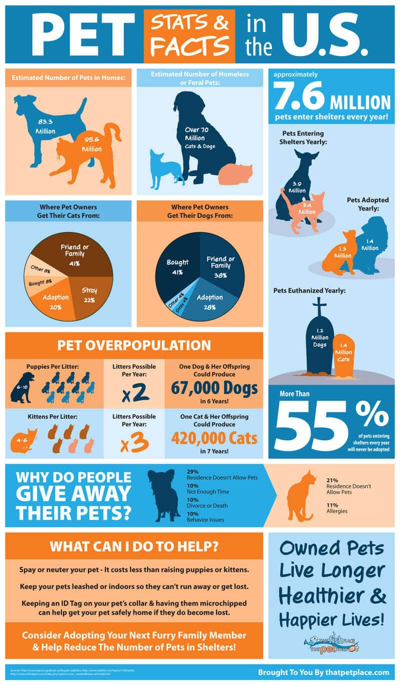 infographic examples infographic examples