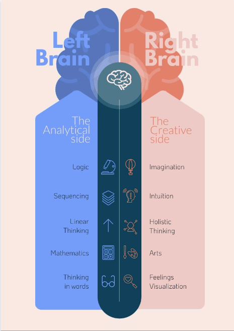 Left Brain Vs Right Brain Infographic