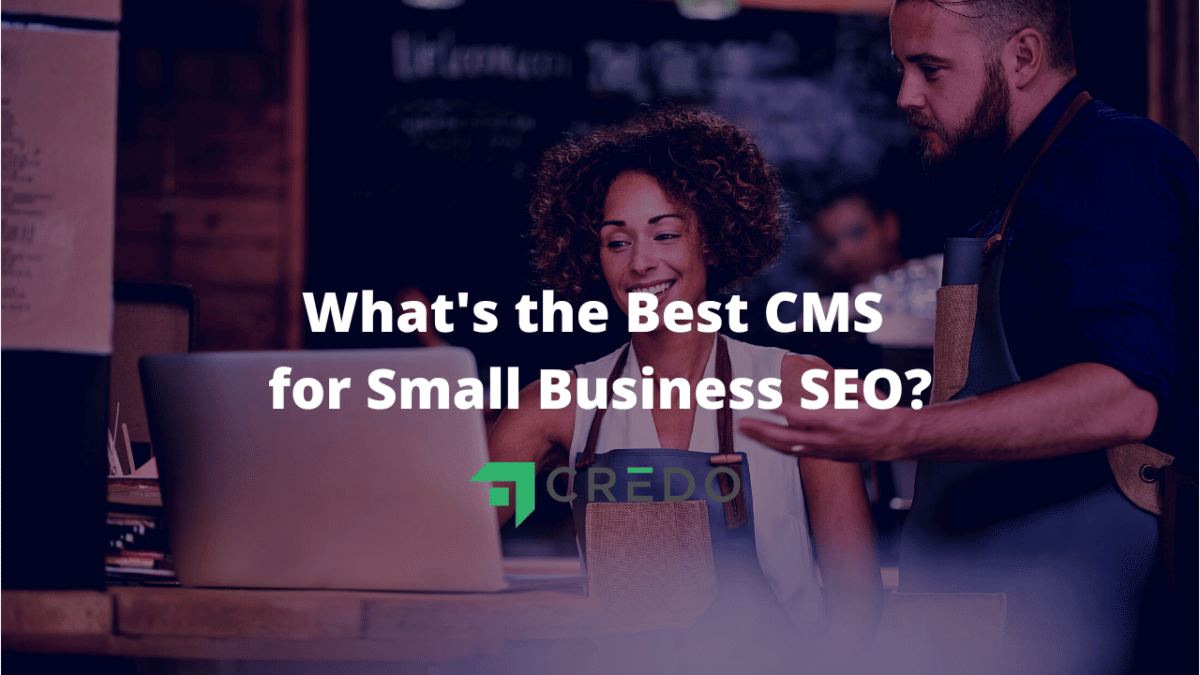 best CMS for small business SEO